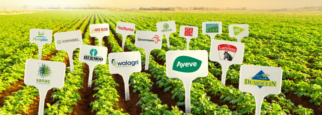 Arvesta’s migratie naar Microsoft 365